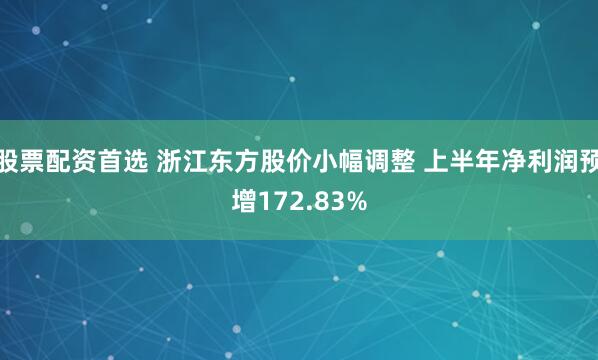 股票配资首选 浙江东方股价小幅调整 上半年净利润预增172.83%