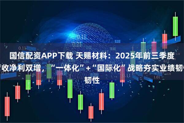 国信配资APP下载 天赐材料：2025年前三季度营收净利双增，“一体化”+“国际化”战略夯实业绩韧性