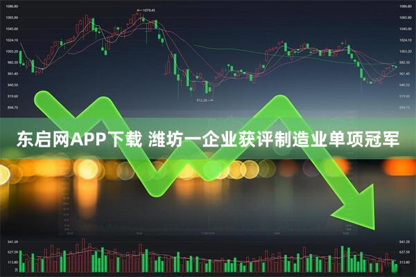 东启网APP下载 潍坊一企业获评制造业单项冠军
