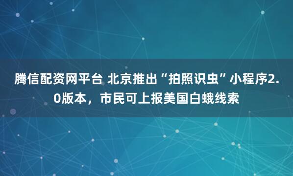 腾信配资网平台 北京推出“拍照识虫”小程序2.0版本，市民可上报美国白蛾线索