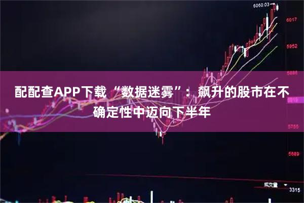 配配查APP下载 “数据迷雾”：飙升的股市在不确定性中迈向下半年